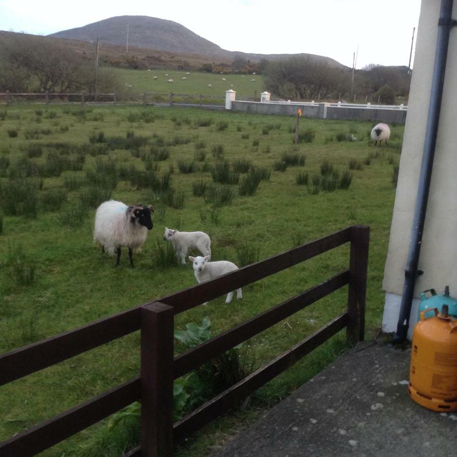 Sea View Chalet Kilsallagh Westport Co Mayo Экстерьер фото